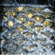 鼓動溜槽淘金設備工作場景